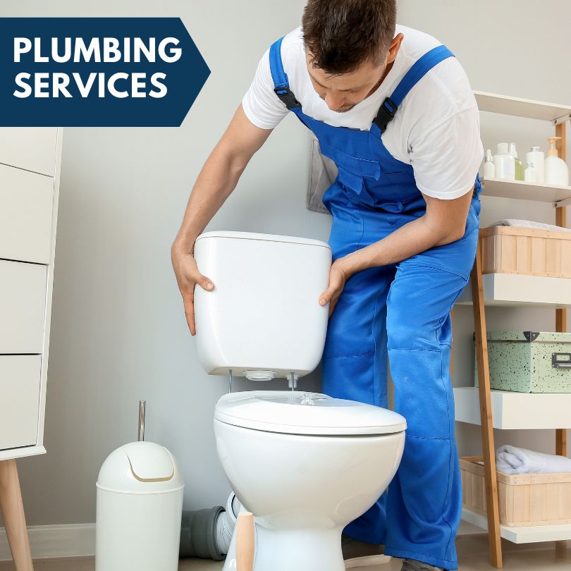 Plumbing Company in Gaines, MI
